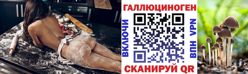 Псилоцибиновые грибы мицелий  Купить  Куса 